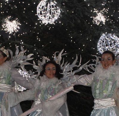 les échassières blanches et scintillantes illuminent les fêtes de Noel