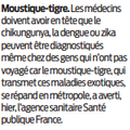 Moustique-tigre