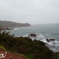 Corniche de l'Esterel