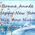 Bonne année 2015 !