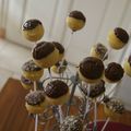 Cakepops