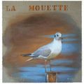 Au fil des vacances : … Une mouette, une aigrette, un courlis…