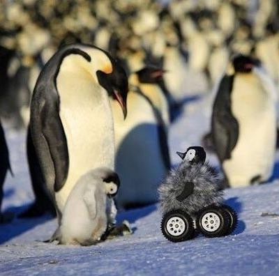 TOUT SE MOTORISE  !!!