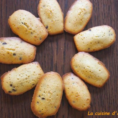 madeleines aux pépites de chocolat