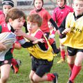 Ecole de rugby, samedi 8 décembre.