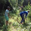 Activité de jardinage et activité d'apprentissage de l'écriture au temps d'accueil des enfants et des jeunes à Ourika Tadamoune