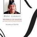 100 perles de sagesses du Dalaï Lammers de Gilles Dal et Fred Jannin ! Edition Lamiroy