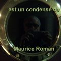 Monsieur Roman (synopsis 59)