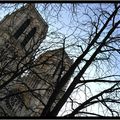 Paris touristique : Notre Dame.