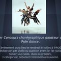 Premier concours de pole dance amateur en France