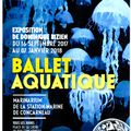 Au Marinarium de Concarneau les méduses exécutent leur ballet  en partenariat avec le Muséum National d'Histoire Naturelle