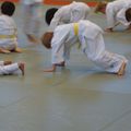 Un cours de Judo