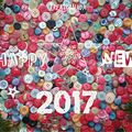 2017 : Nouvelle Année, nouveaux projets 