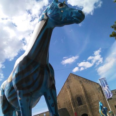 Les Jeux équestres mondiaux ou #JEM2014