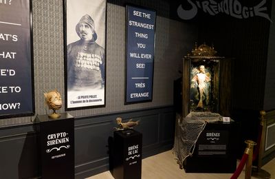 Sirènes des Fijii à la Maison de la Magie de Blois - mai 2025