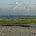 Le bassin d'arcachon