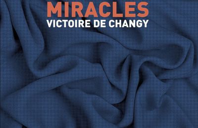  Concours Récits d'objets/Musée des confluences :3 livres "Subvenir aux miracles " à gagner