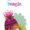 B comme beagle