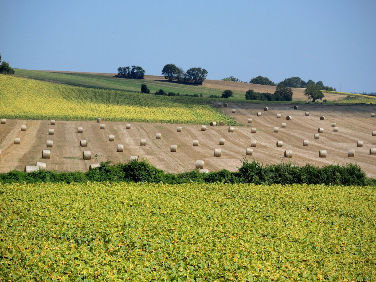 Sur la route, Nièvre d'août, Oulon, Montenoison... (58)