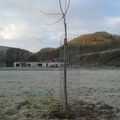 Les potagers communautaires de Nessonvaux