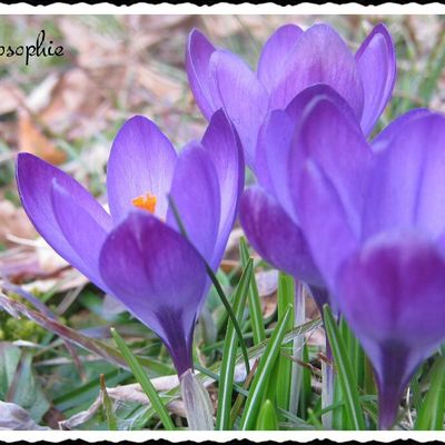 défi - photos du mois