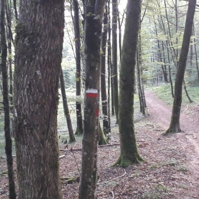 Petites étapes
