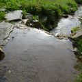 Pieds nus dans le ruisseau