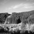 Beskidy, la montagne en noir et blanc