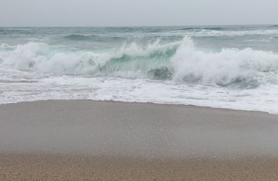 Bonjour l'écume des jours et de la mer !