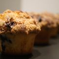 Muffins myrtilles ou "bleuets"
