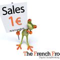 Promo the french frog_ kit à 1 euro