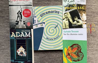 Livres 2025 (2)