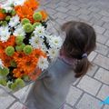 Le bouquet de la semaine #12