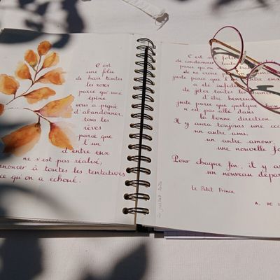 Carnet de citation n°56