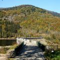 Visite au pied du Ballon d'Alsace - 6/...