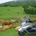 Balade dans les pyrénées le 15 juin 2008