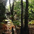 Séjour en Bretagne - Quand la lumière joue.