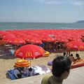Si vous allez en Corée, n'y allez pas pour la plage.....