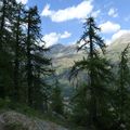 Les Alpes -3 - le sentier botanique de Bez -Serre Chevalier-