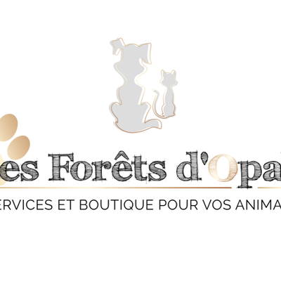 Site officiel