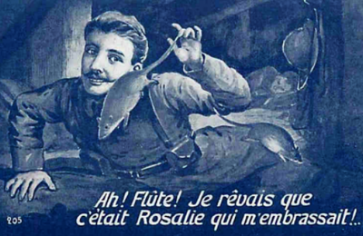 Rôle des animaux dans la Grande Guerre