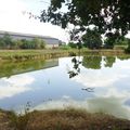 Le joli petit étang de SAINT JEAN DE LIER (40)....
