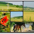 M'en allant à la campagne du côté de Billom