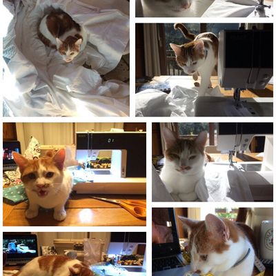 Quand Max me fait comprendre qu'il faut passer à autre chose...