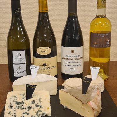 Vins dégustés en janvier 2025