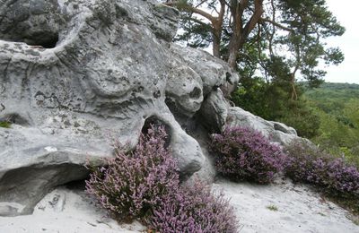 Le sud de l'Aisne