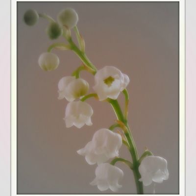 C'est la Fête du Travail...