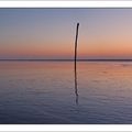 Entre aube et brume marine