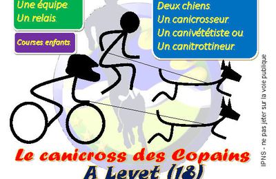 14° édition le 13 novembre 2022 - Cani_Cross_Vtt_Trott des copains - en relais UCCA - 