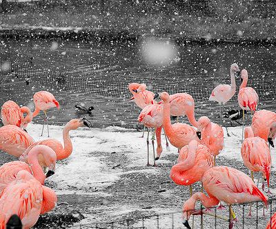 J-20: début de ma quête